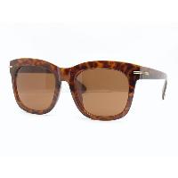 Wayfarer Sunglasses